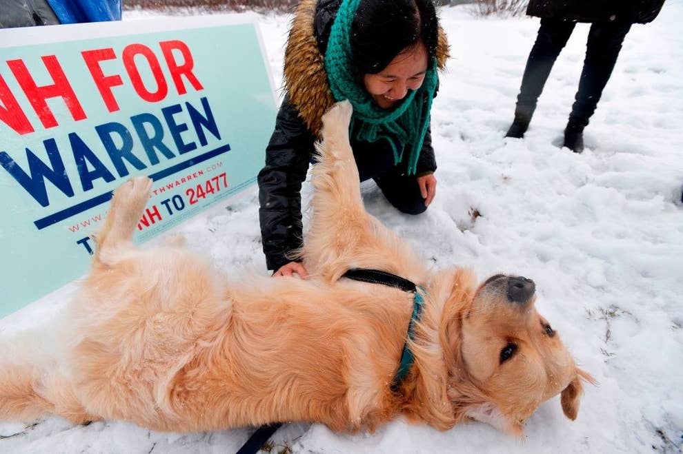 Elizabeth Warren’s Dog Loves Burritos, and Honestly, We’re Going to Miss Him